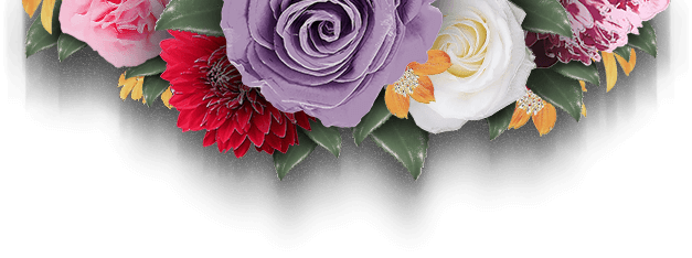 bg 08 free img